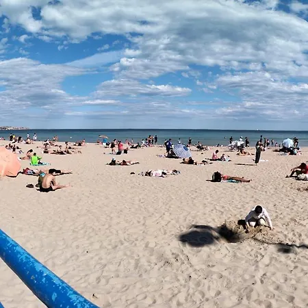 Ricardo Αλικάντε